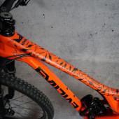 세르지오 라요스